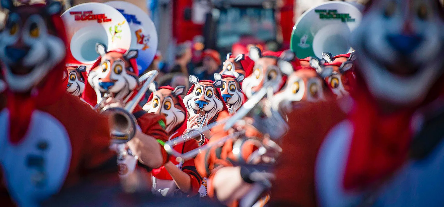 Fasnachtsgesellschaft Sissach Umzug am Sonntag