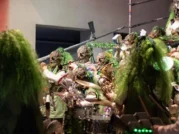 {{brizy_dc_image_alt imageSrc=