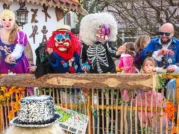 {{brizy_dc_image_alt imageSrc=